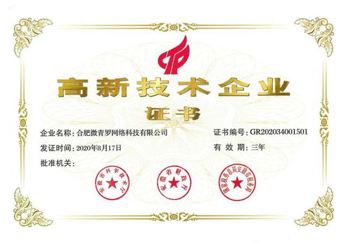 喜報 新青羅入選合肥市2021年度高成長企業，技術服務領域再創佳績